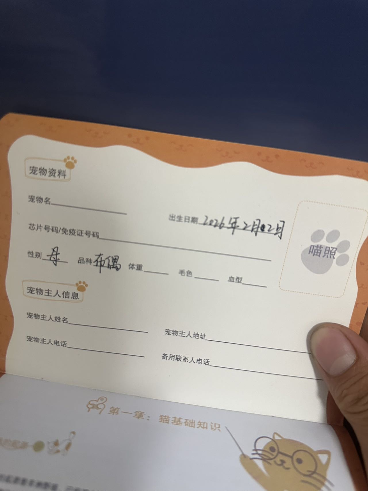 实在没时间养了