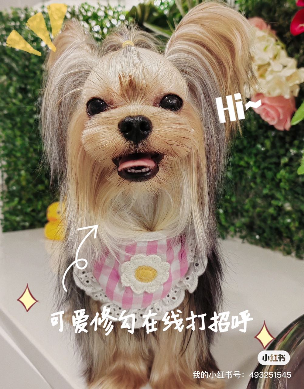 奶油