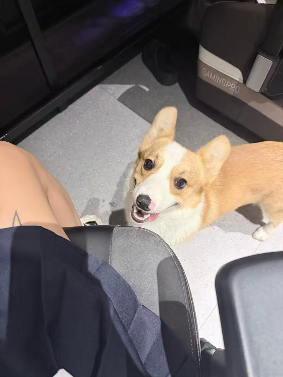 闲置详情