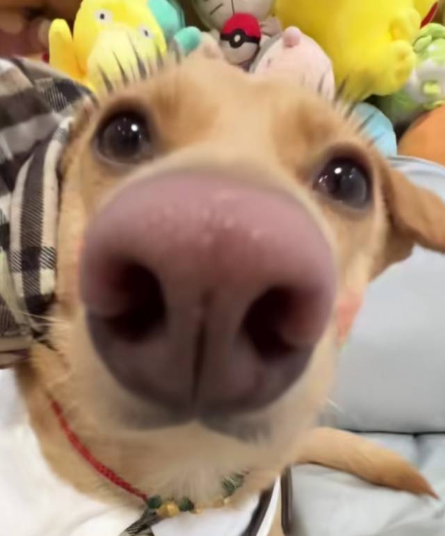 达人动态