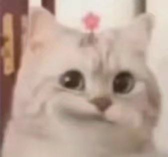 达人动态
