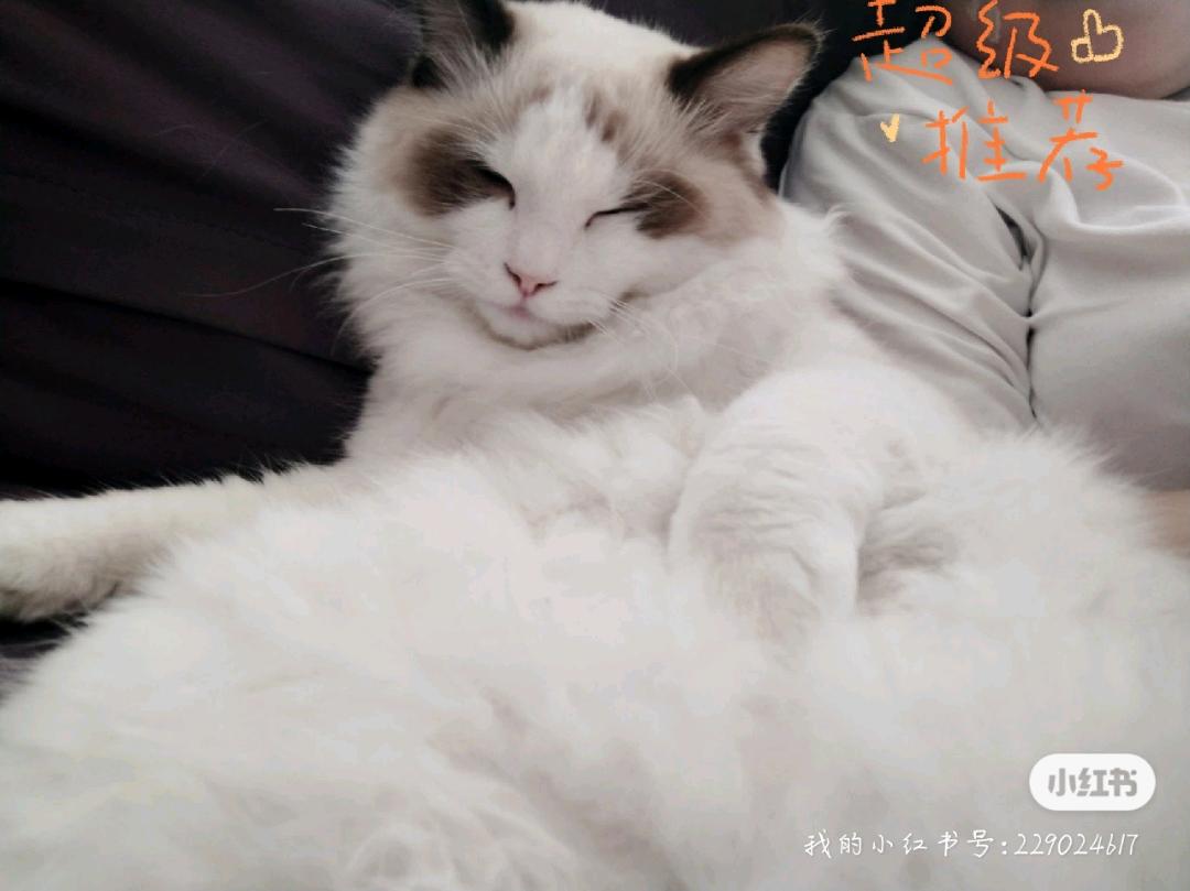 达人动态