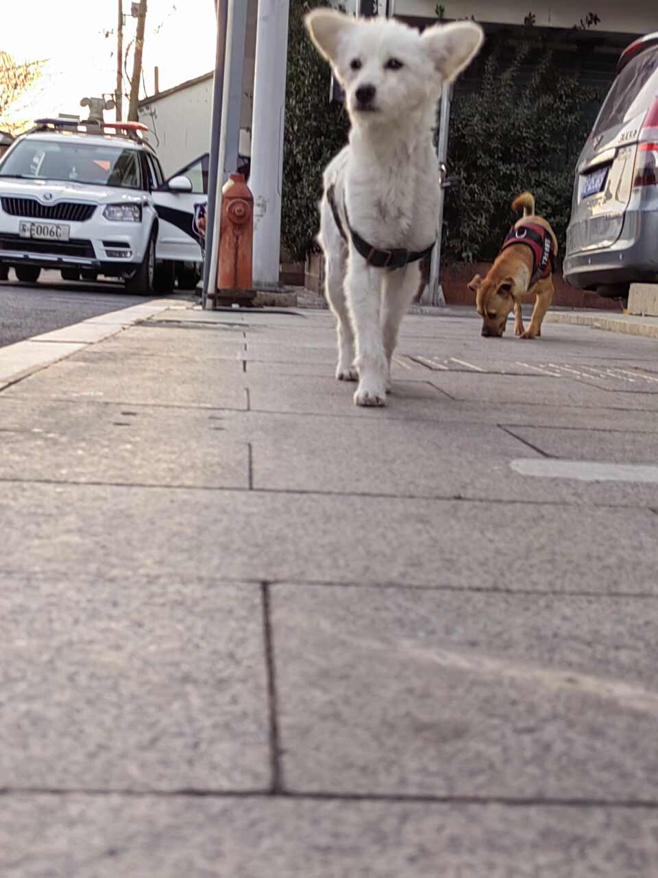 溜达达～