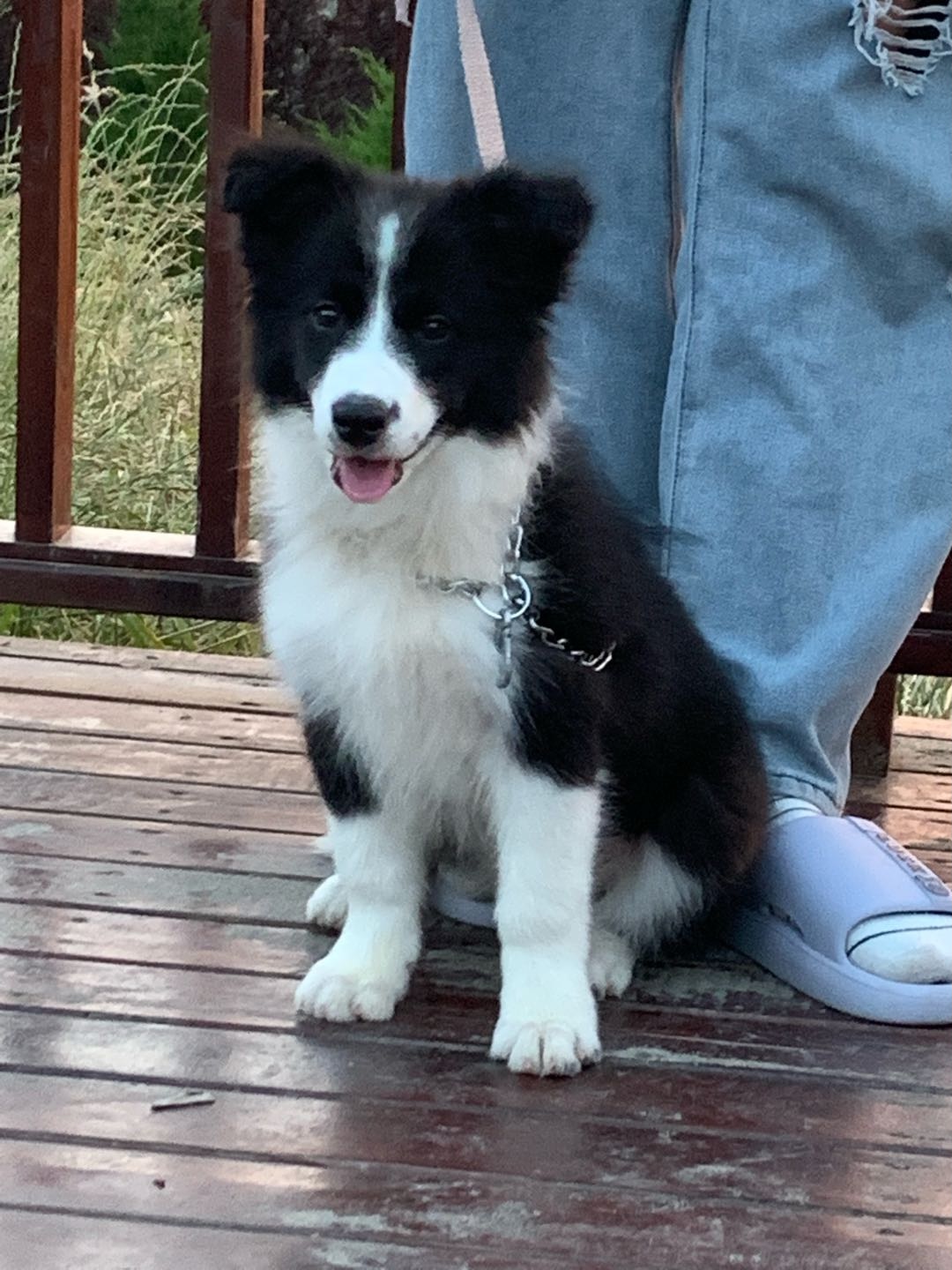 达人动态
