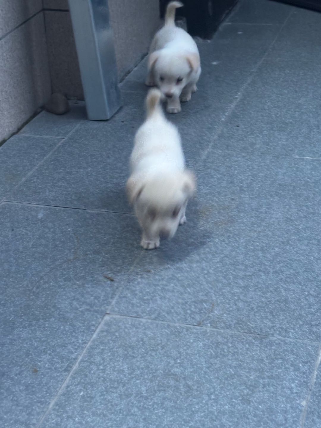 闲置详情