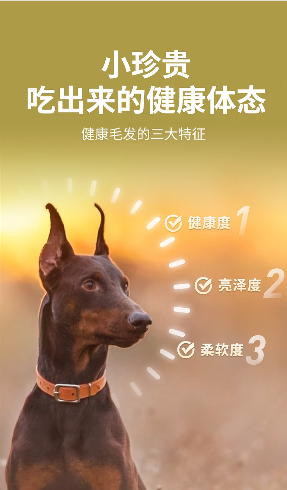鲜朗低温烘焙狗粮禽肉兔肉幼犬成犬通用主食冻干粮 烘焙犬粮(禽肉)2kg 9