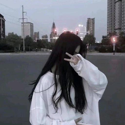 达人动态
