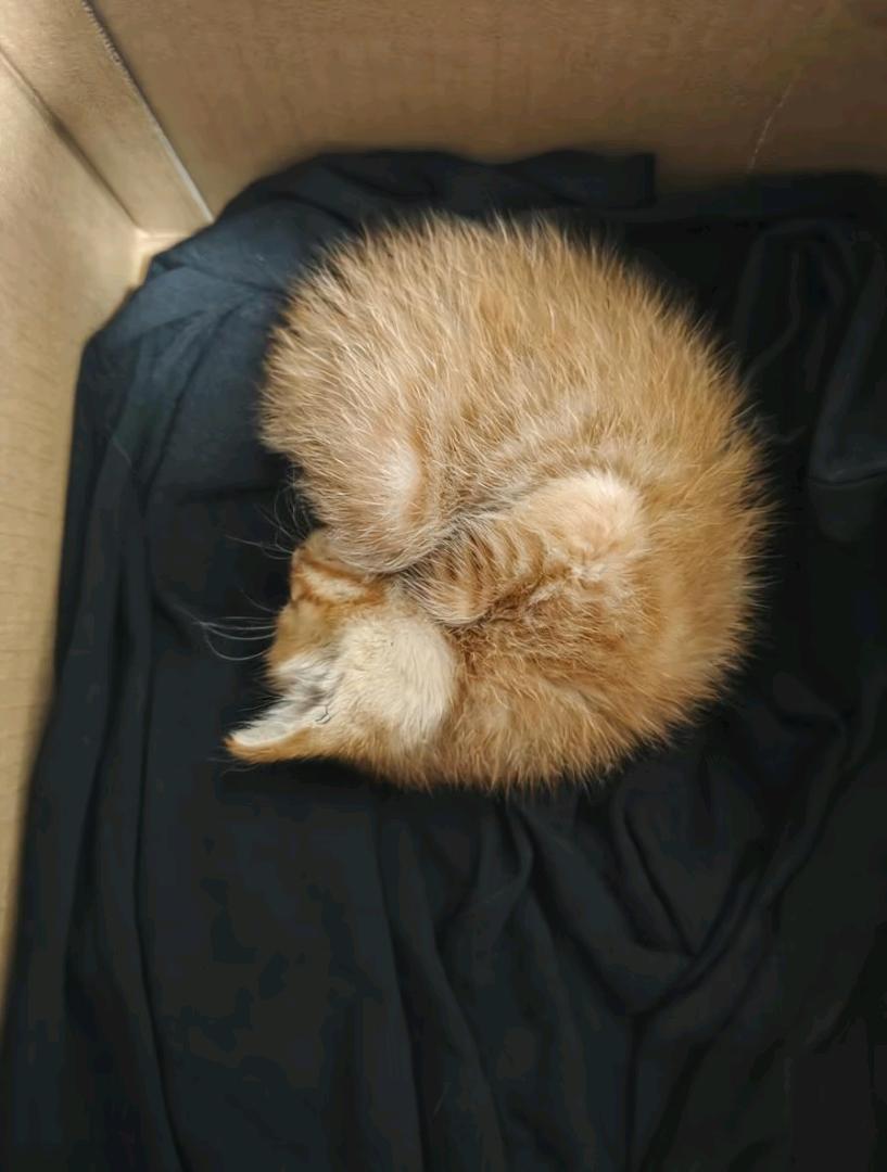 闲置详情
