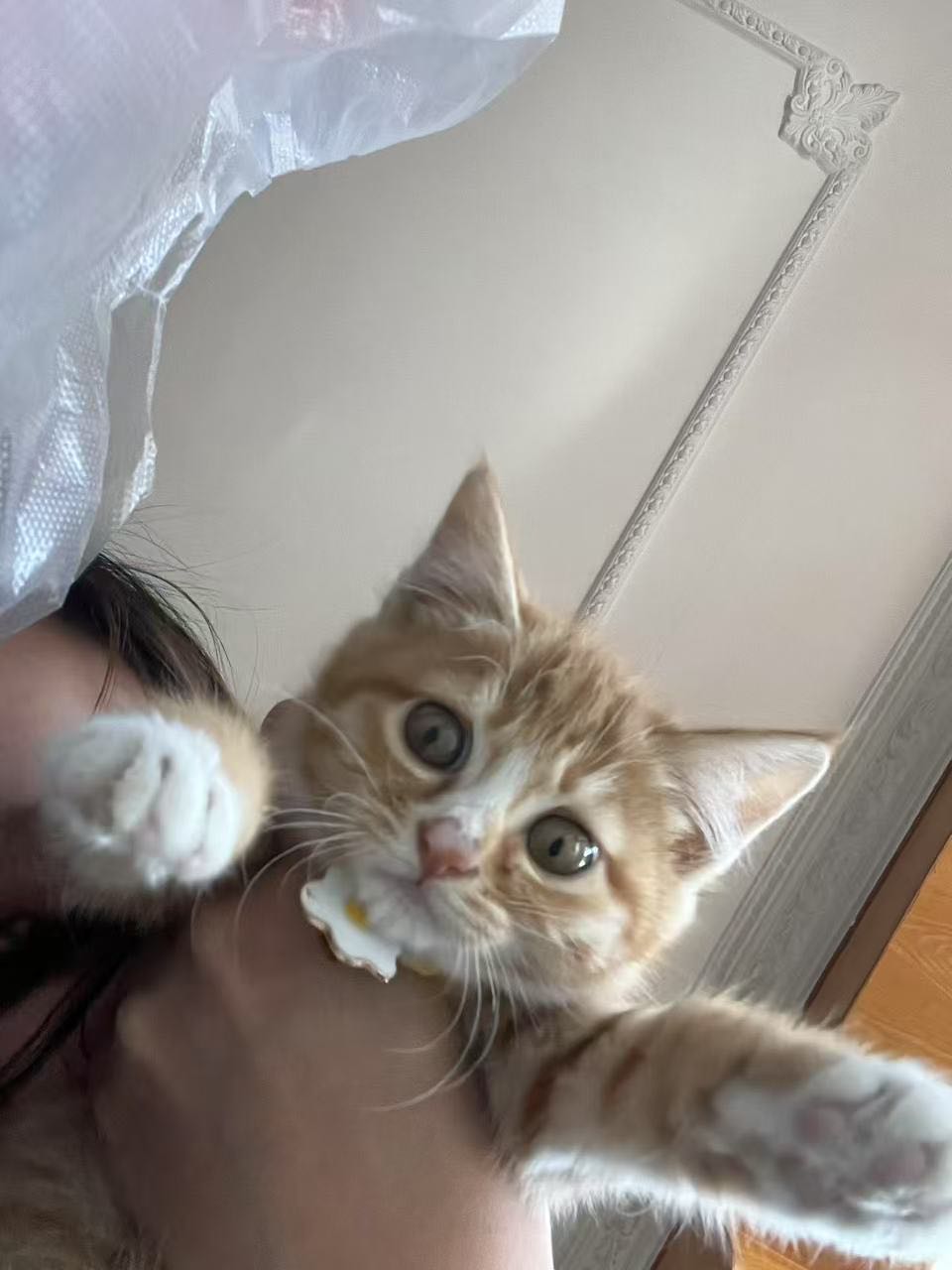 有想要的联系我