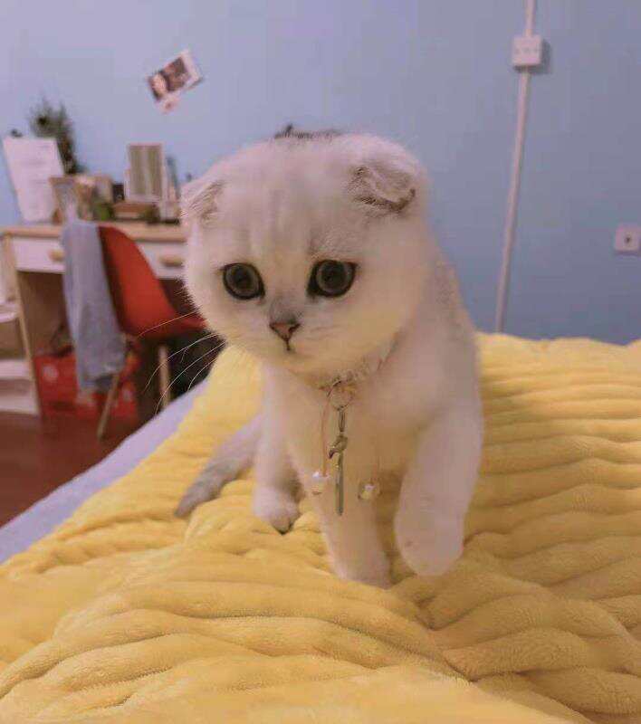 达人动态