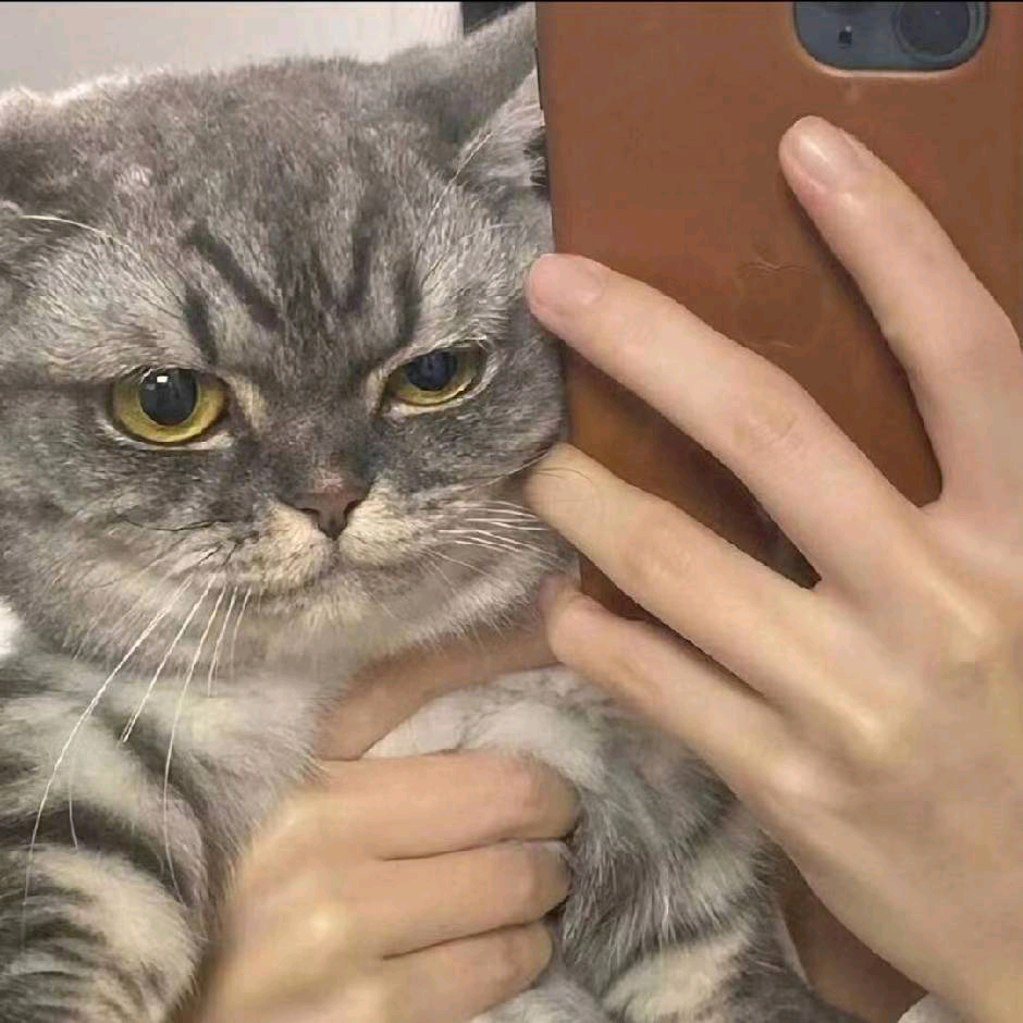 达人动态