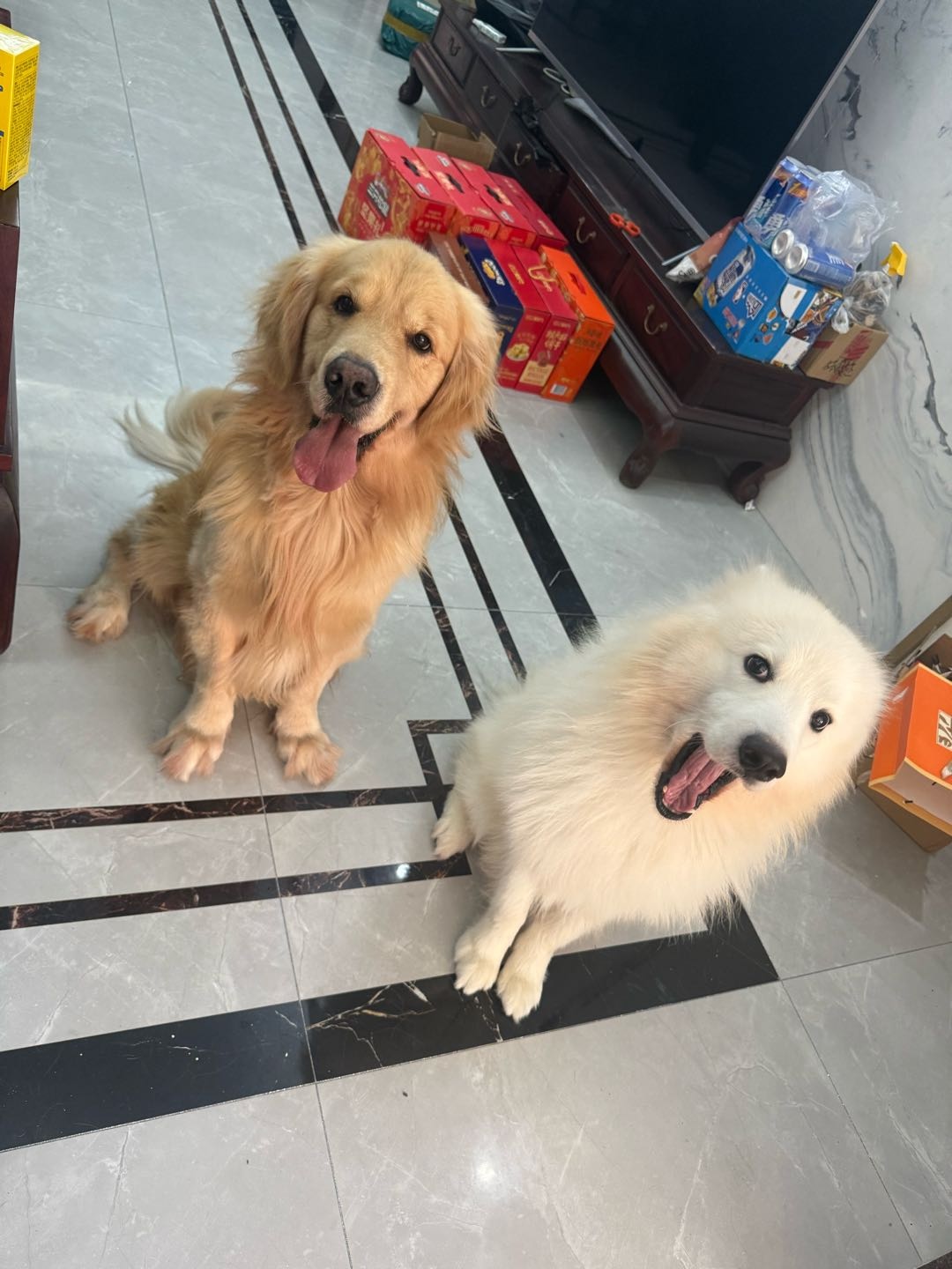 闲置详情