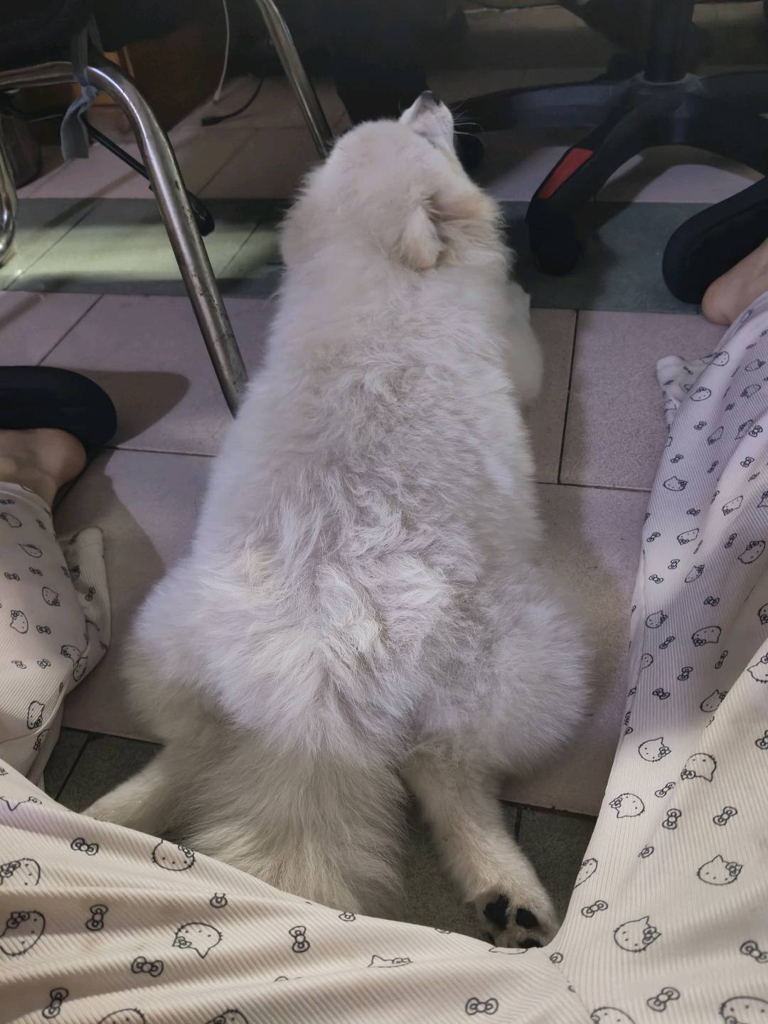 闲置详情