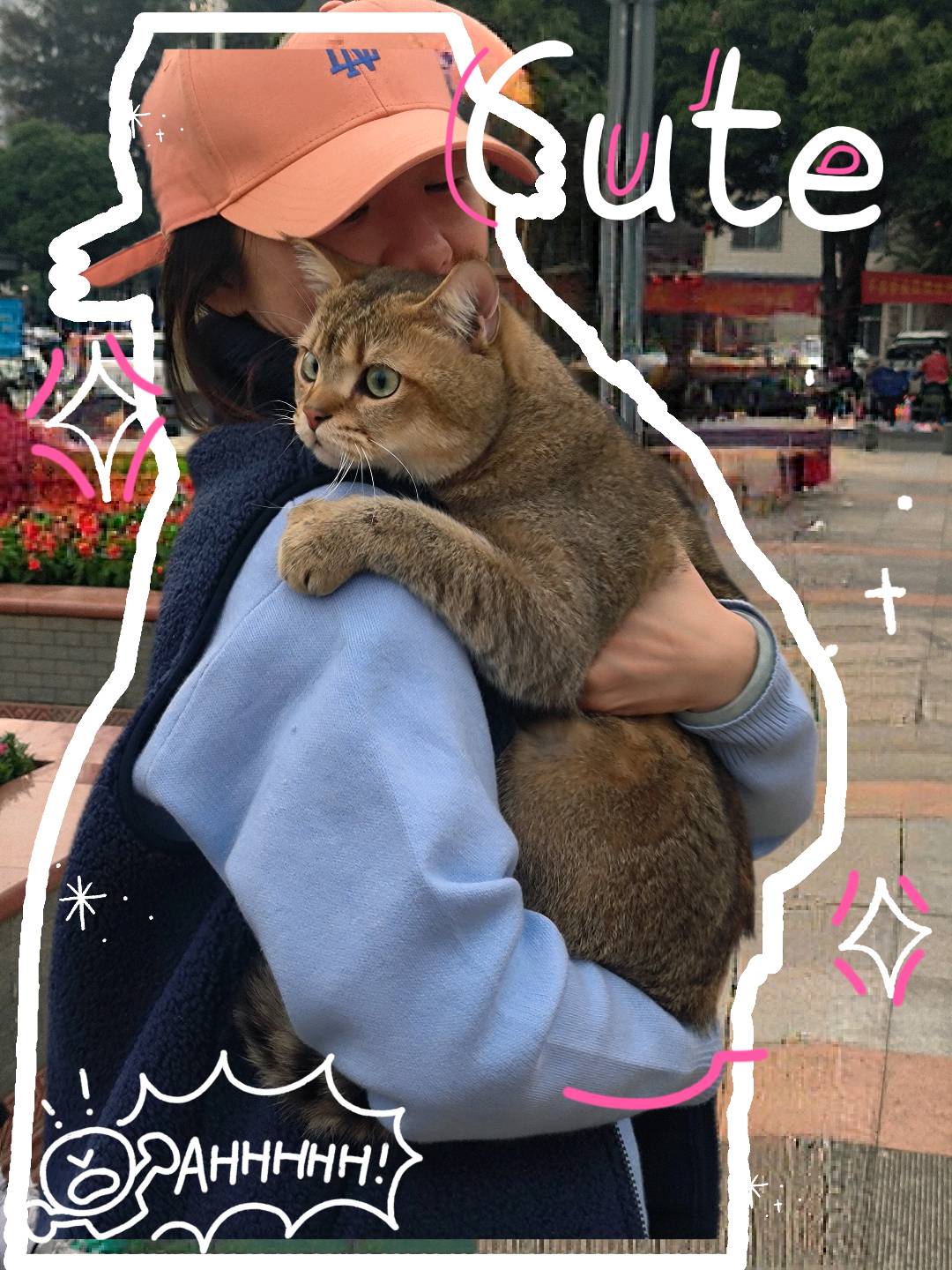 达人动态