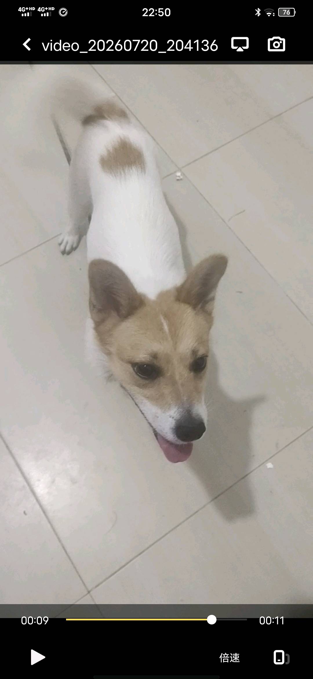 闲置详情