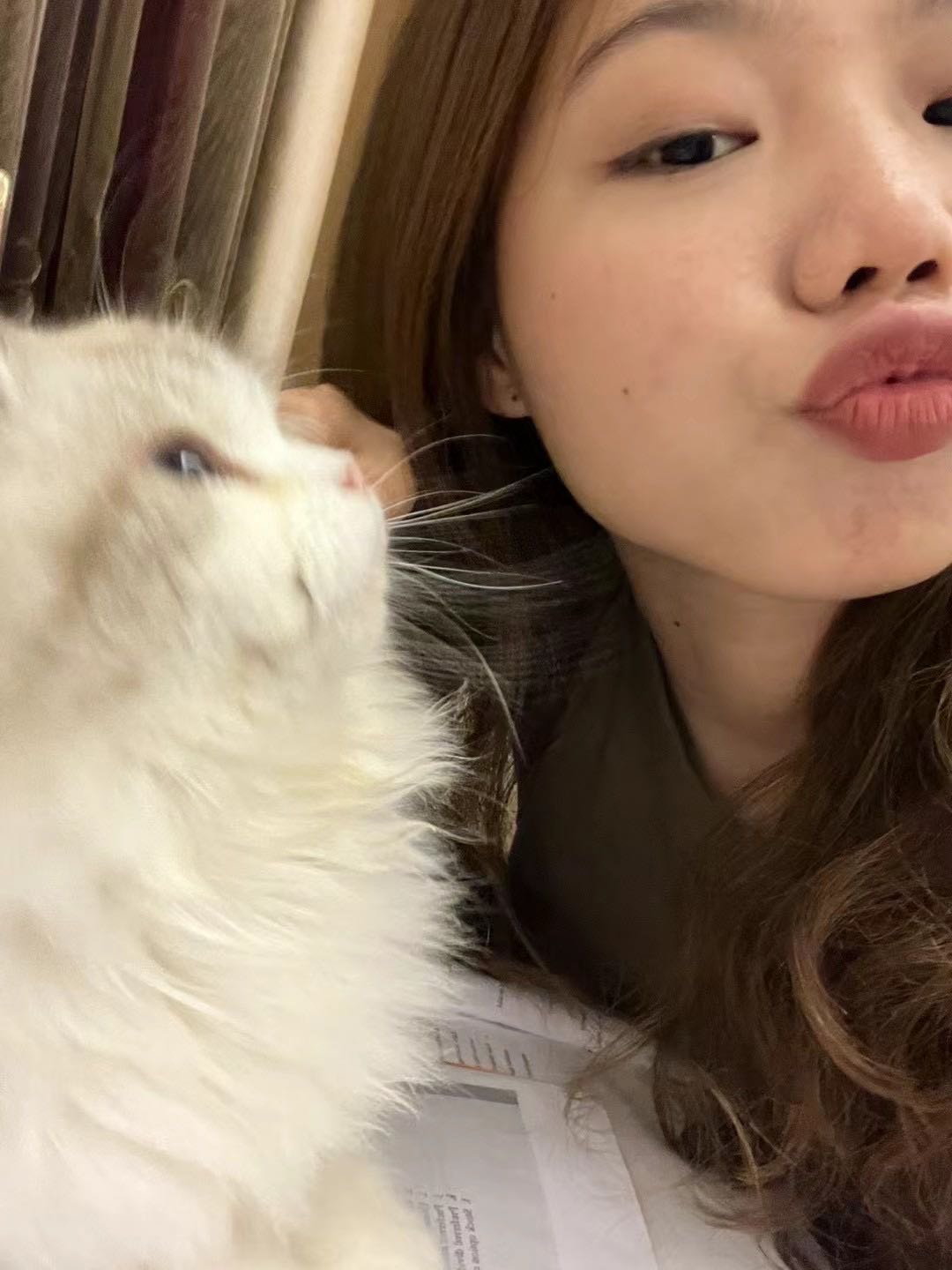 达人动态
