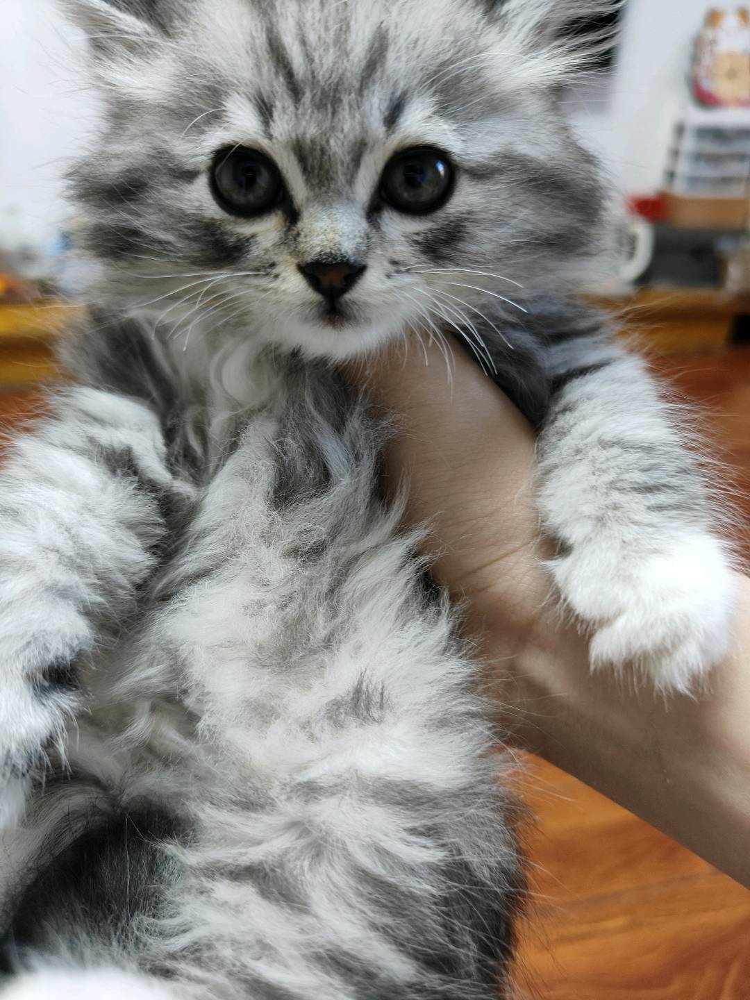 找个好人家，没有经济能力养