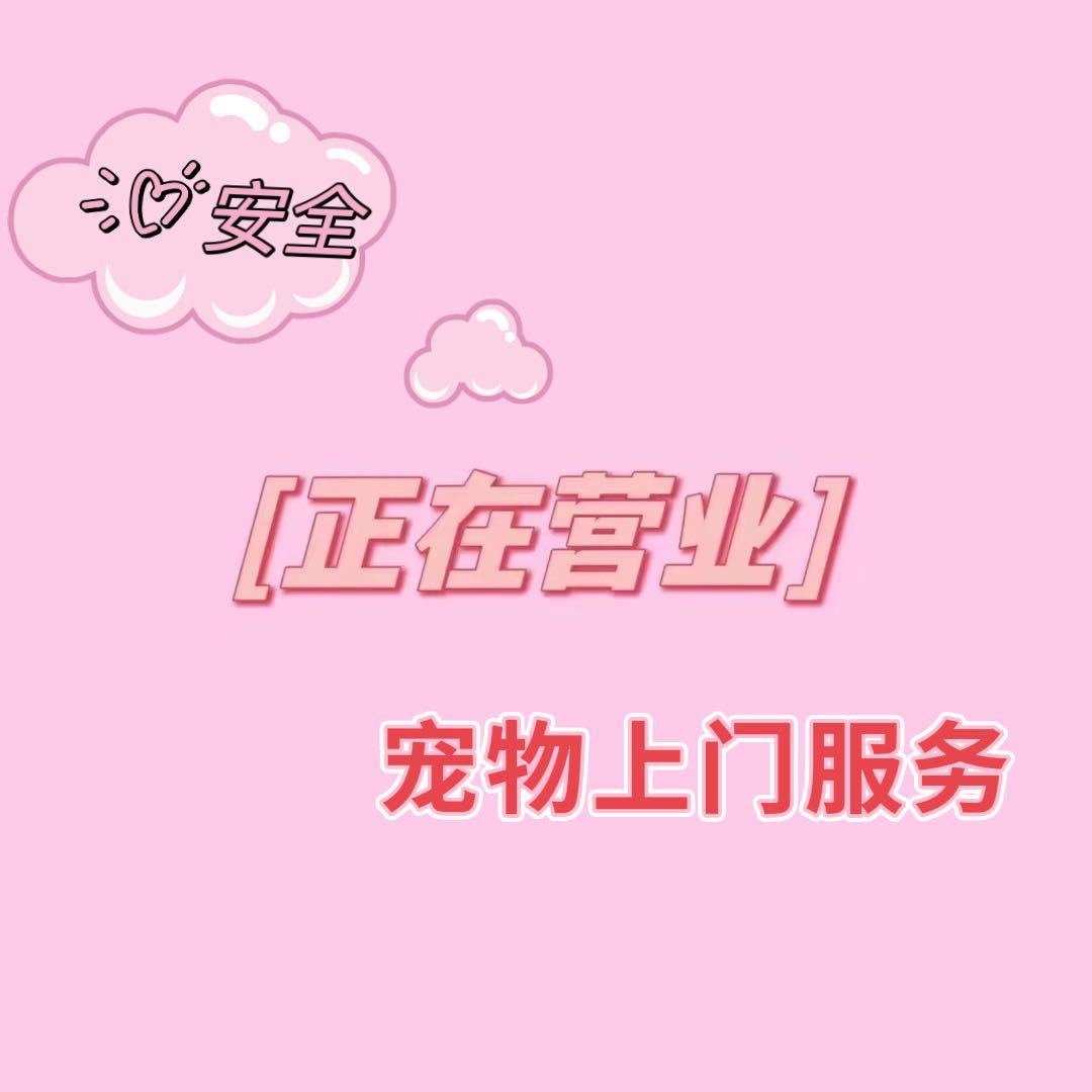 可上门遛狗