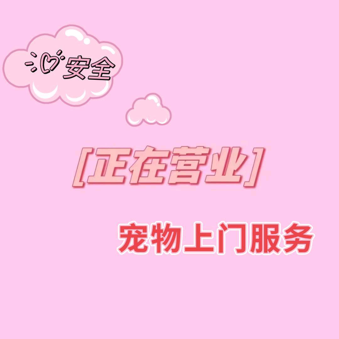 上门遛狗溜猫，上门喂养也OK喔