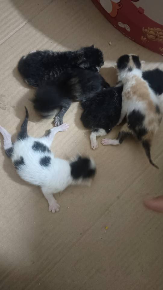 闲置详情