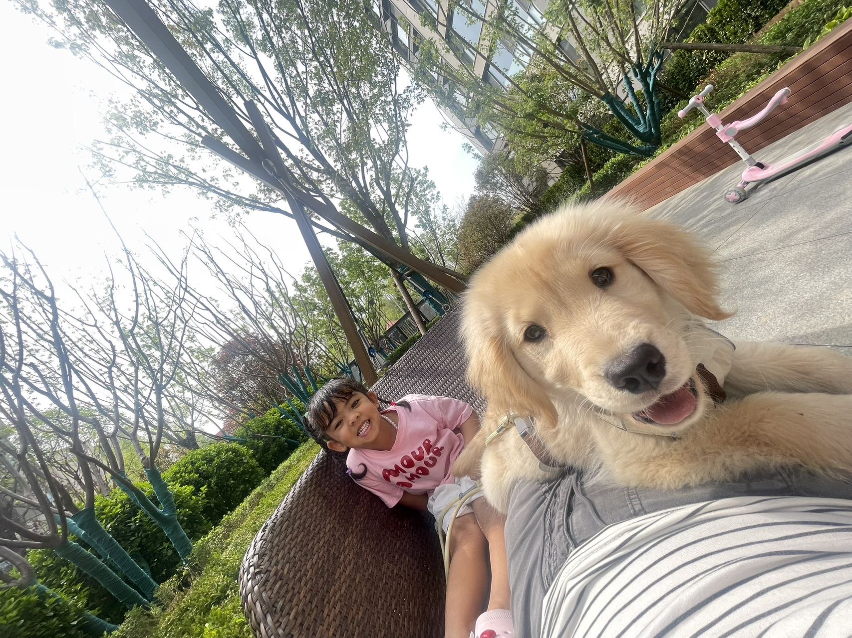狗狗萌宠档案