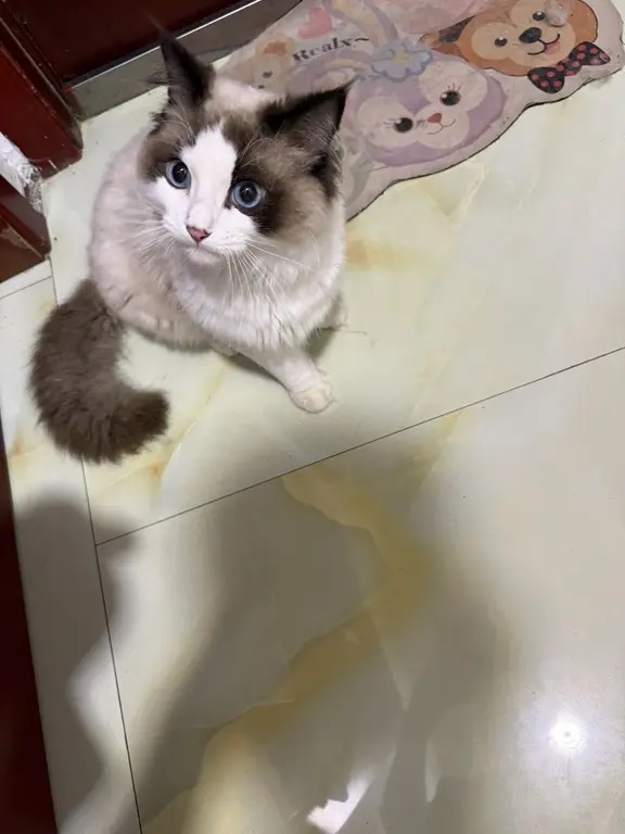 闲置详情