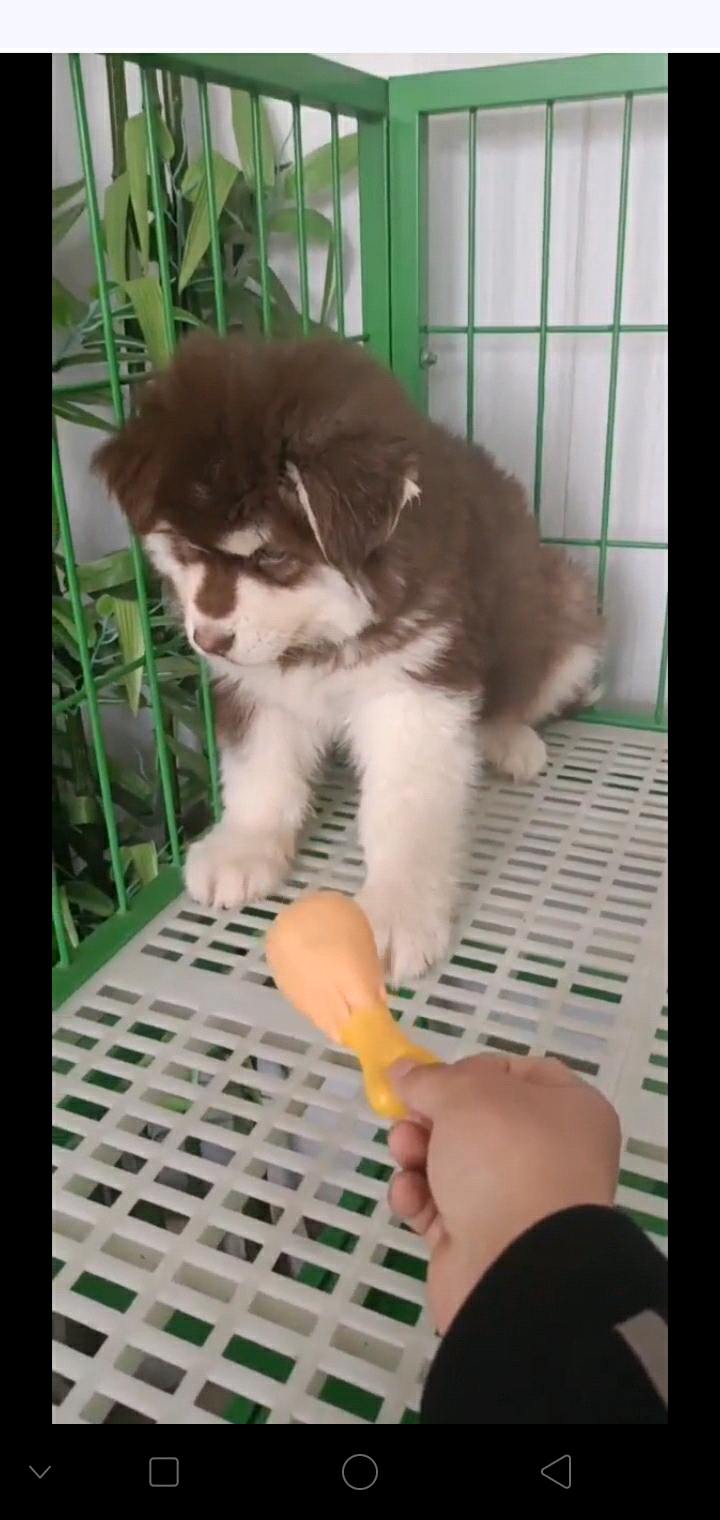 达人动态