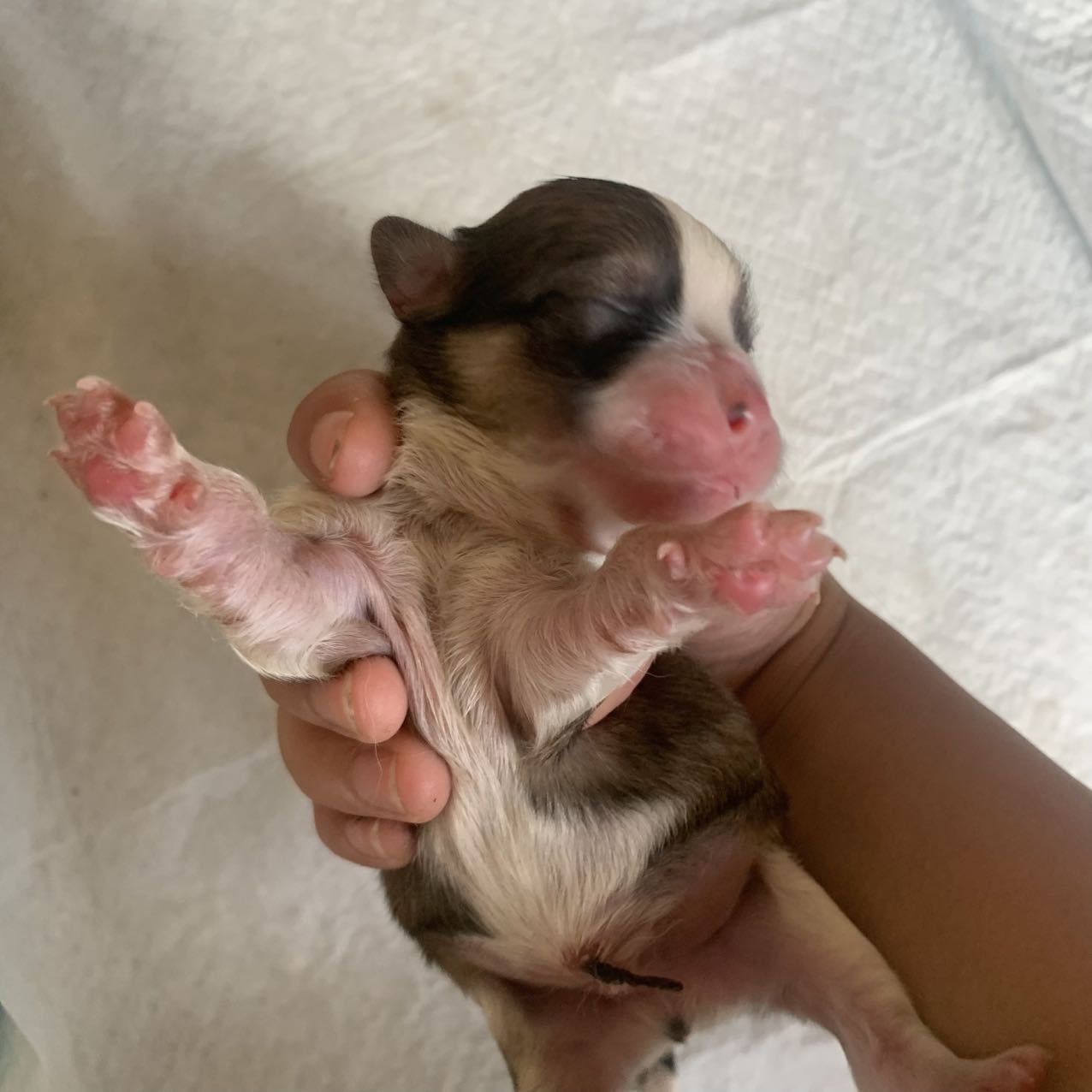 闲置详情