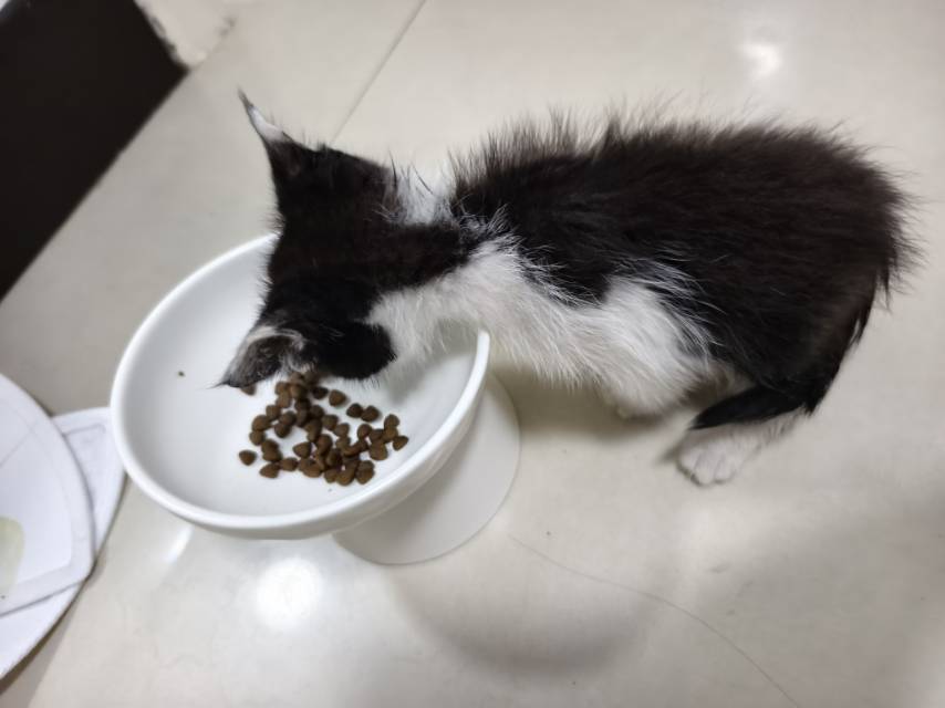 闲置详情