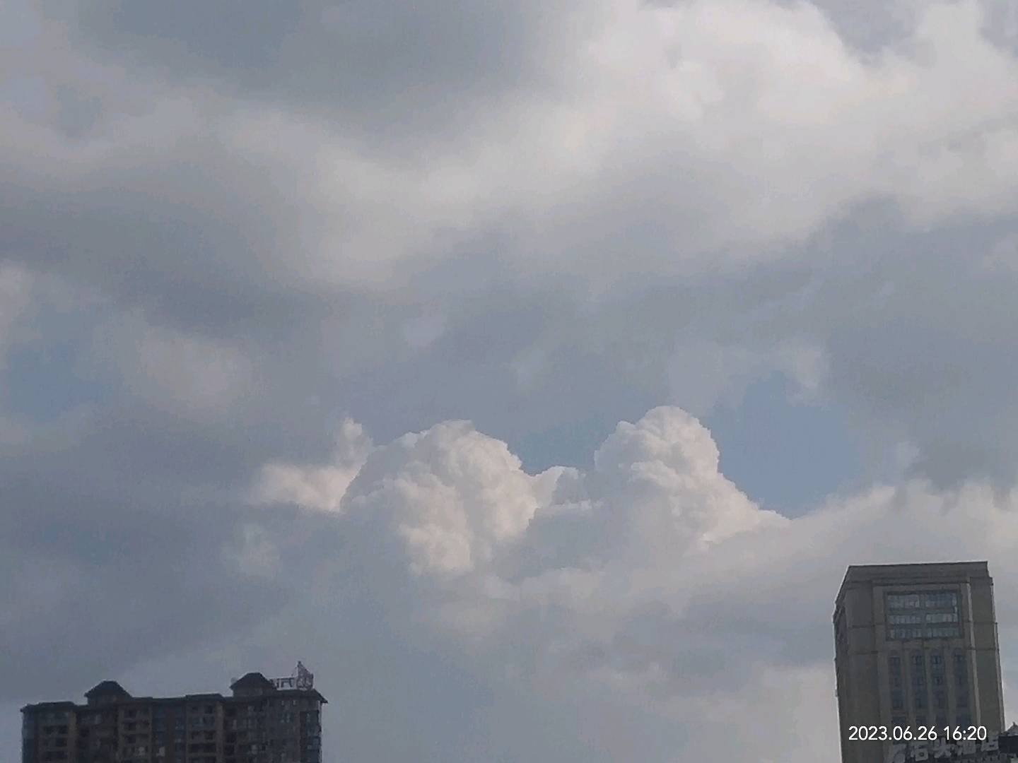 帮上门喂猫/狗哦!