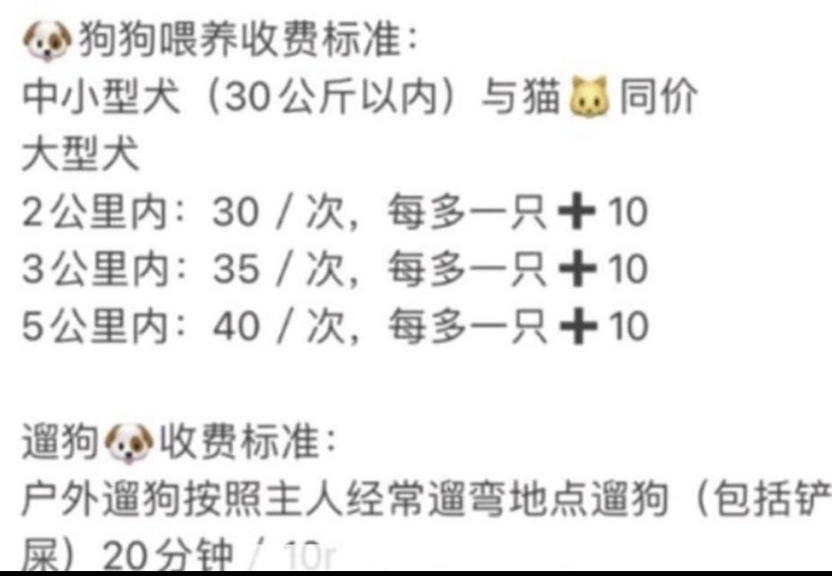 上门喂宠 录像沟通#上门喂宠