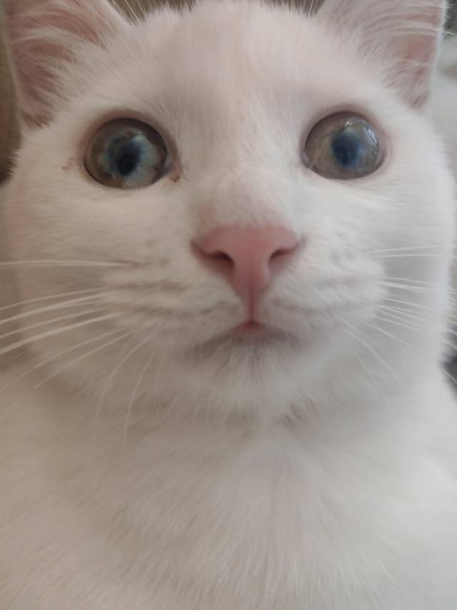 正常