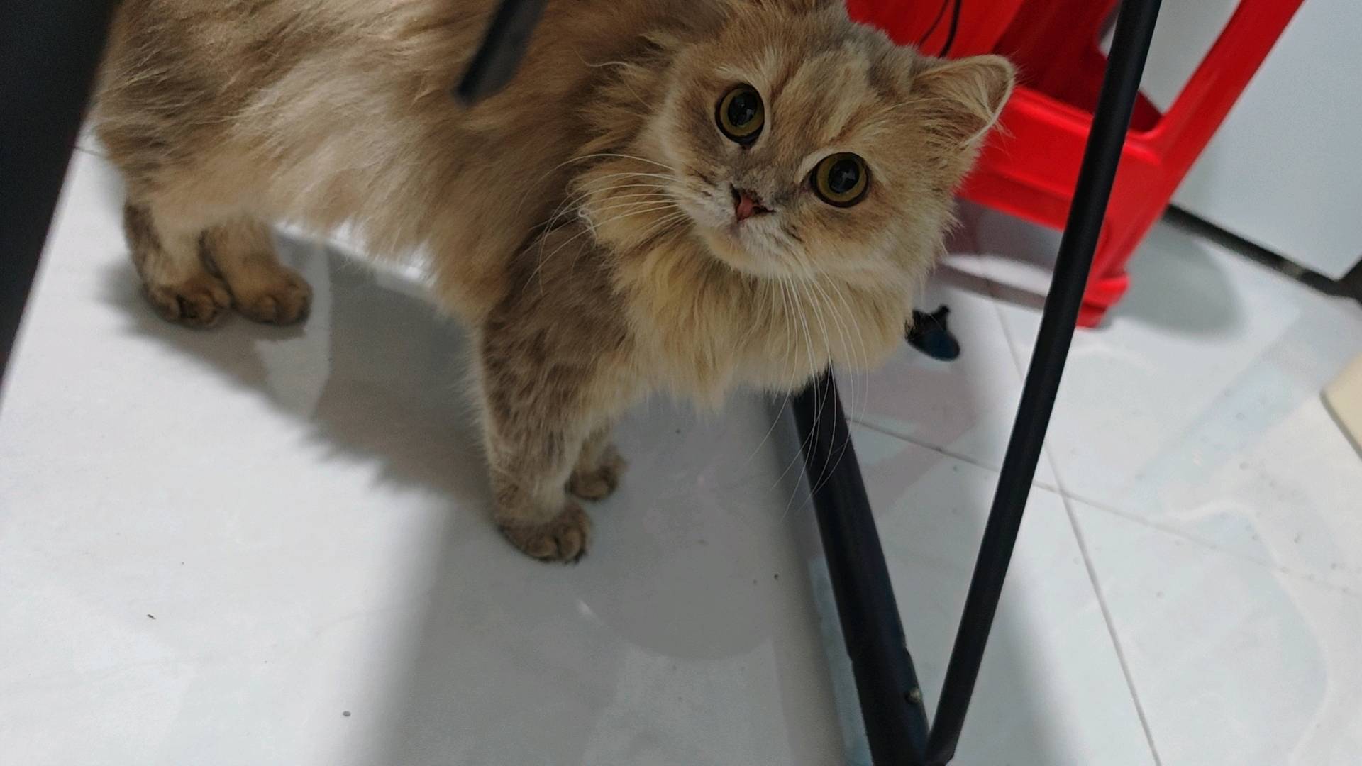 闲置详情