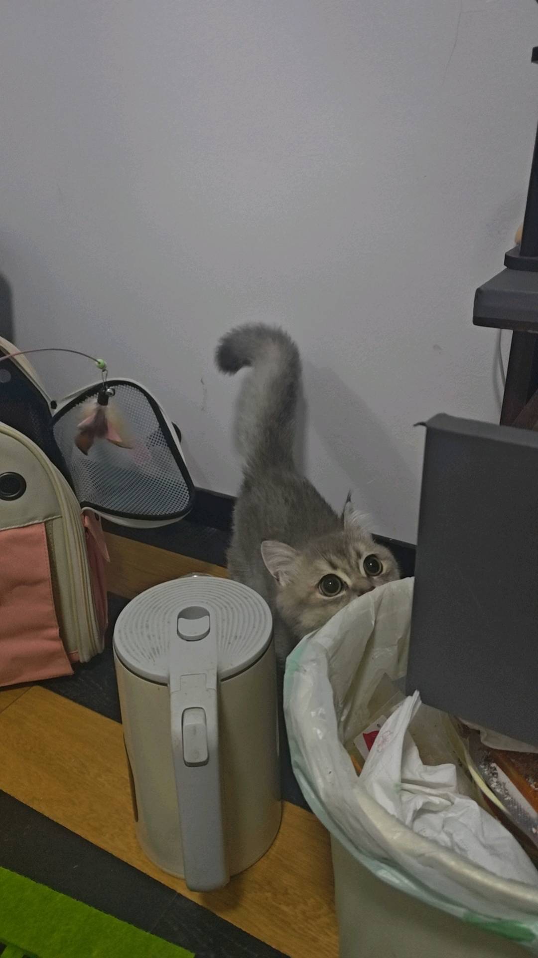 闲置详情
