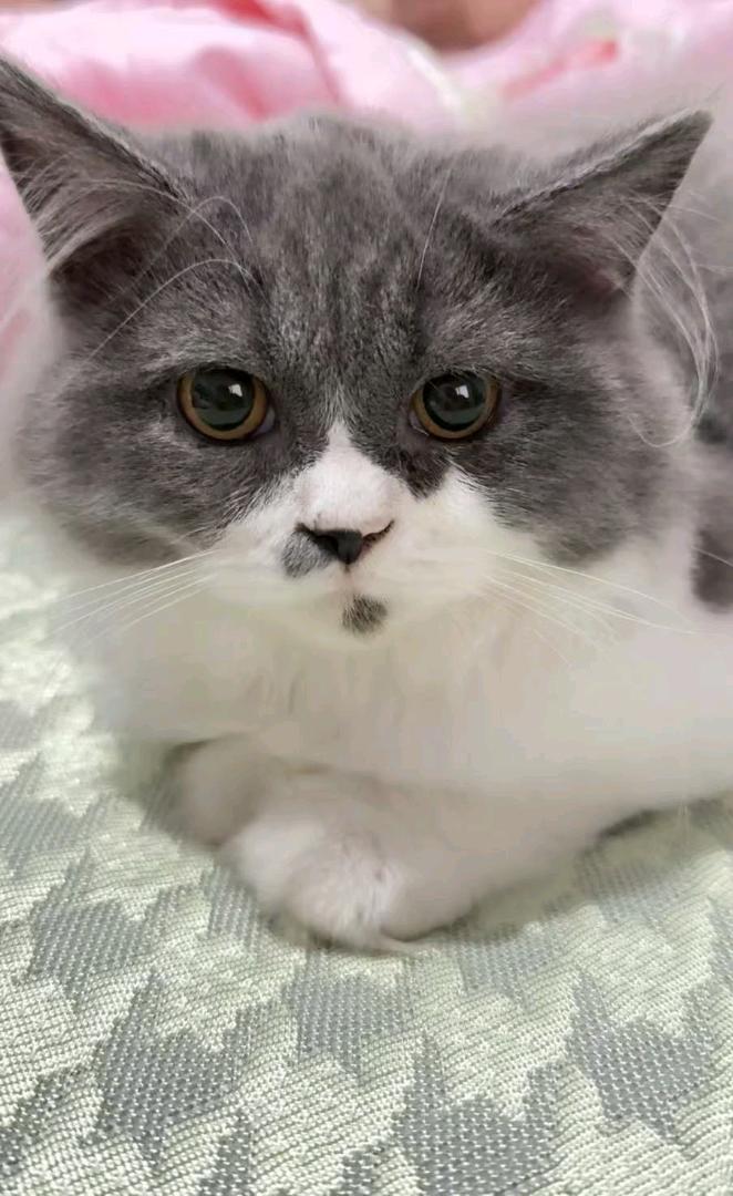 闲置详情