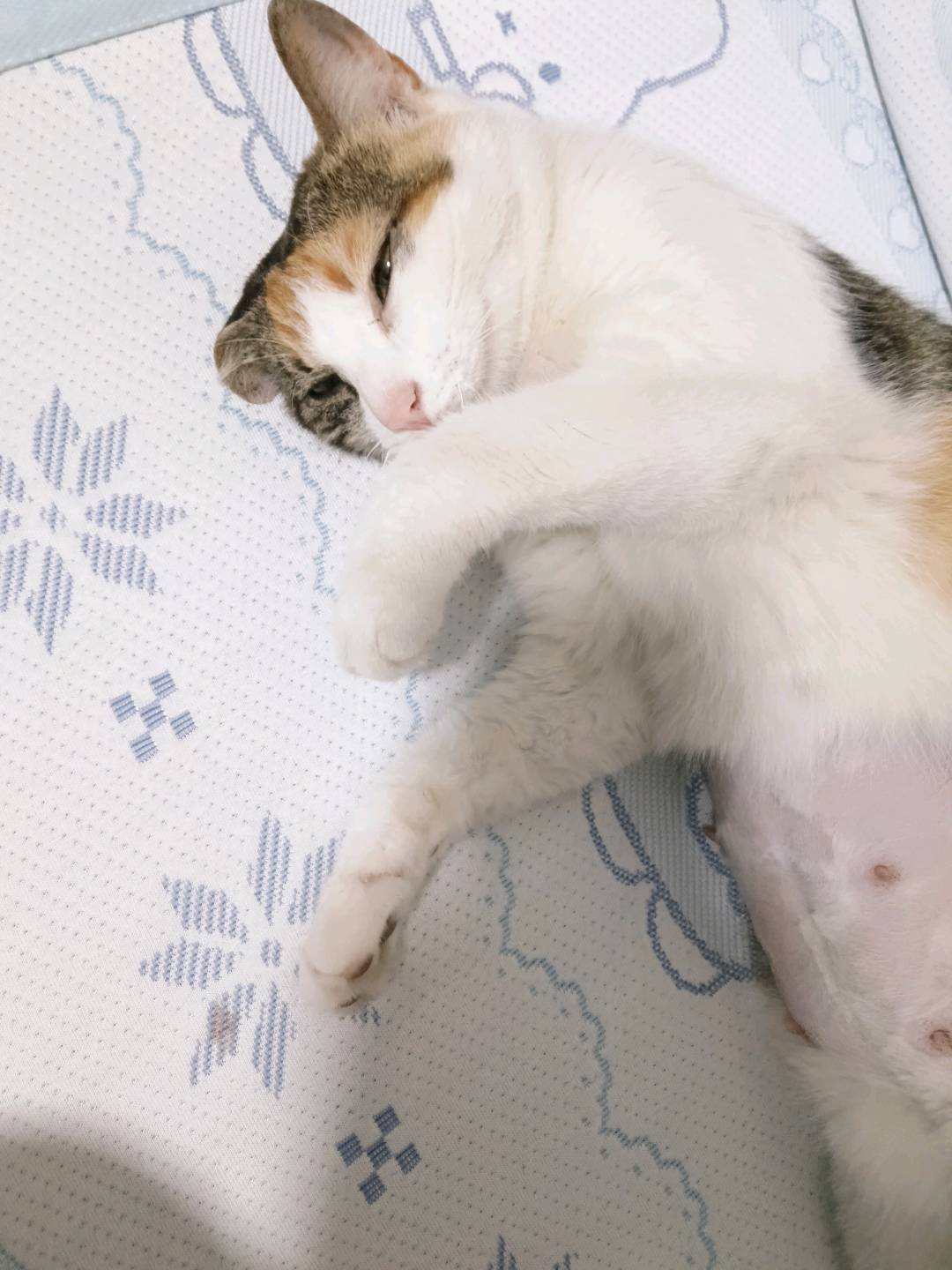 闲置详情