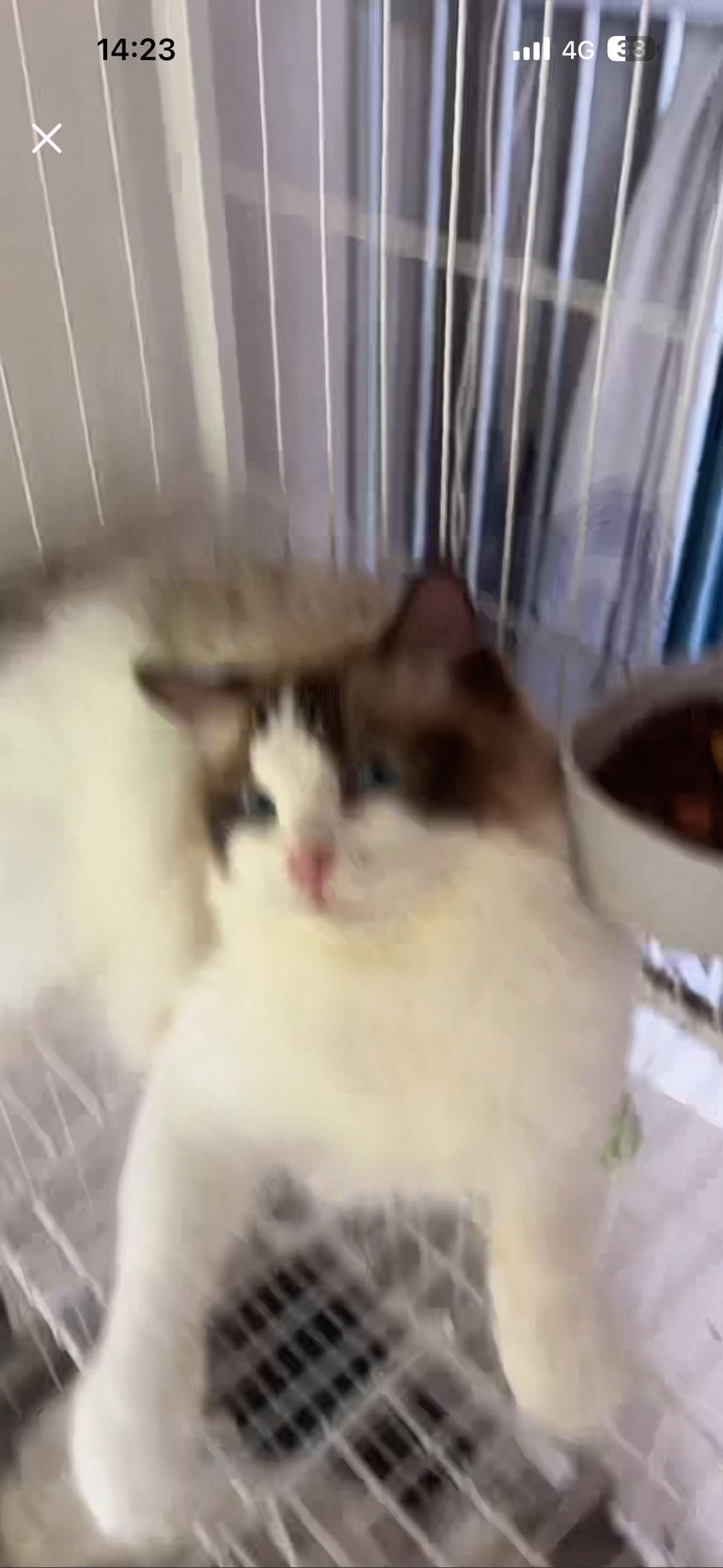 闲置详情