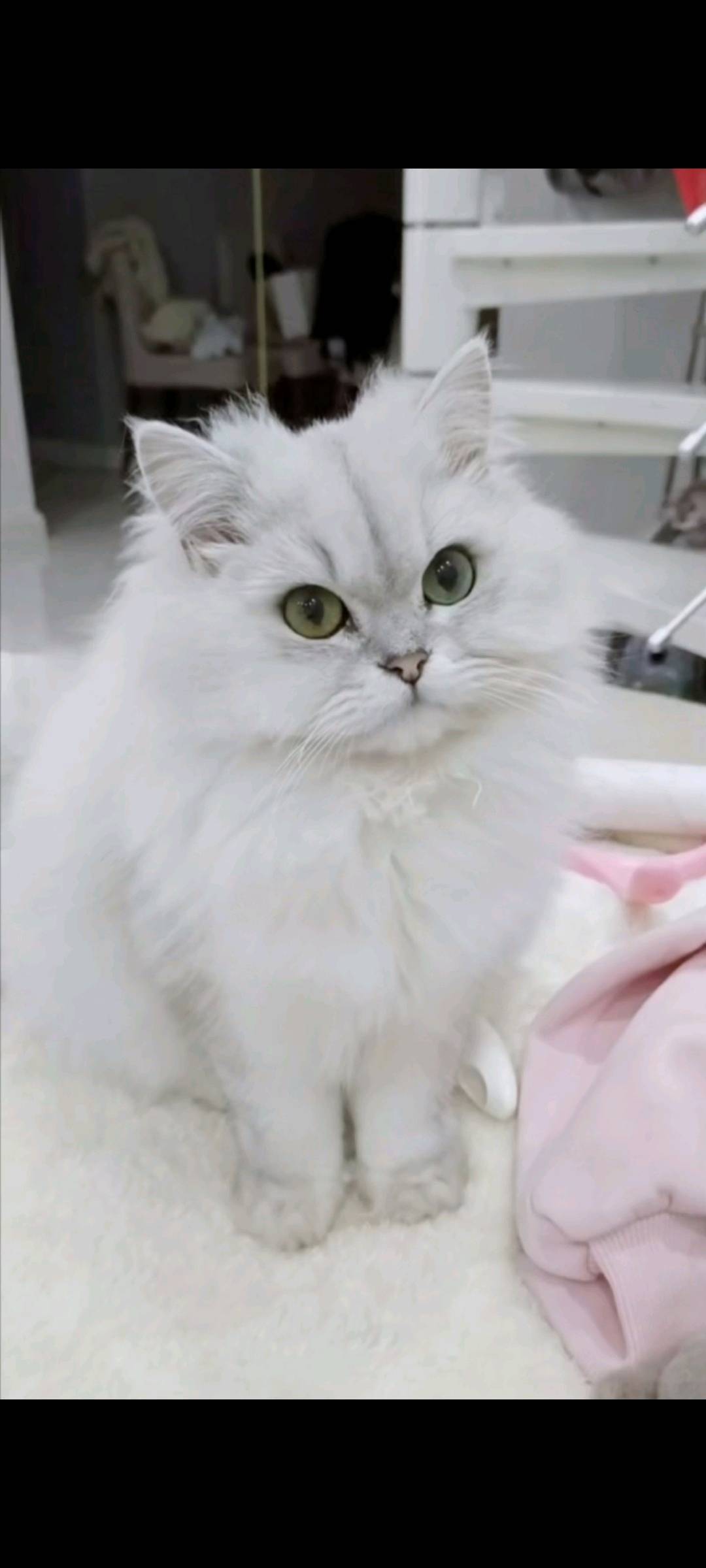 闲置详情