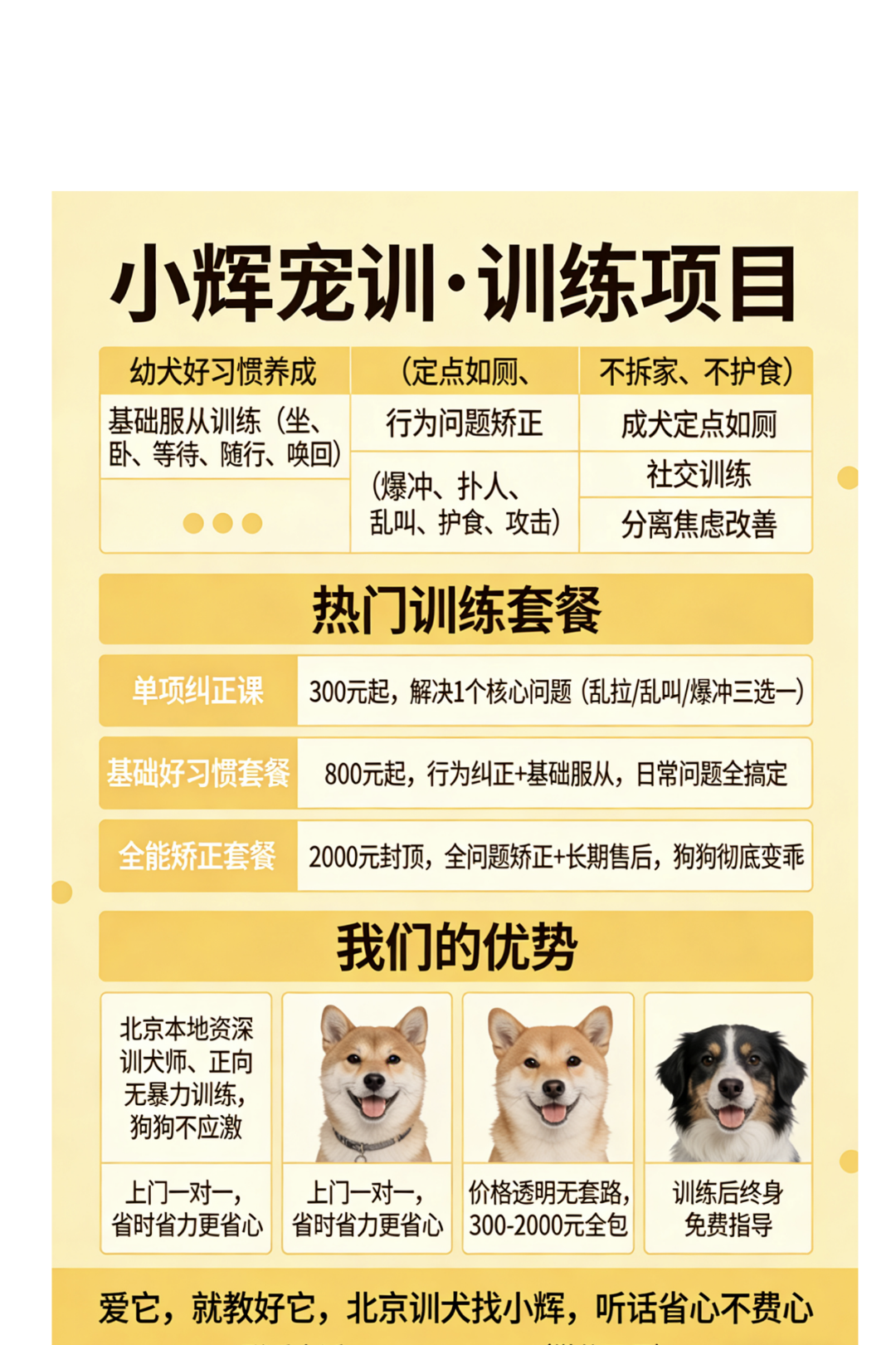 宠物犬行为纠正定点大小便