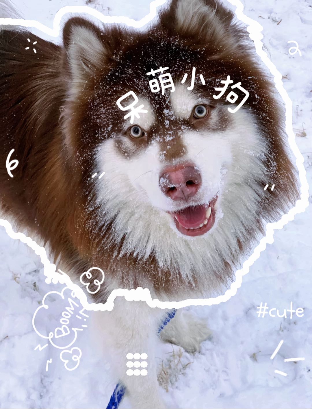 达人动态