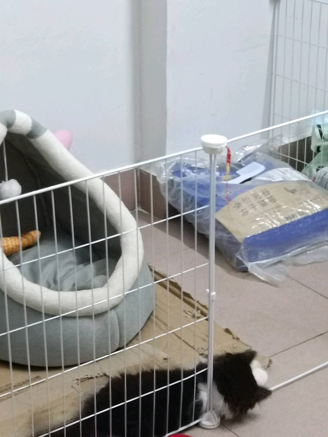 闲置详情
