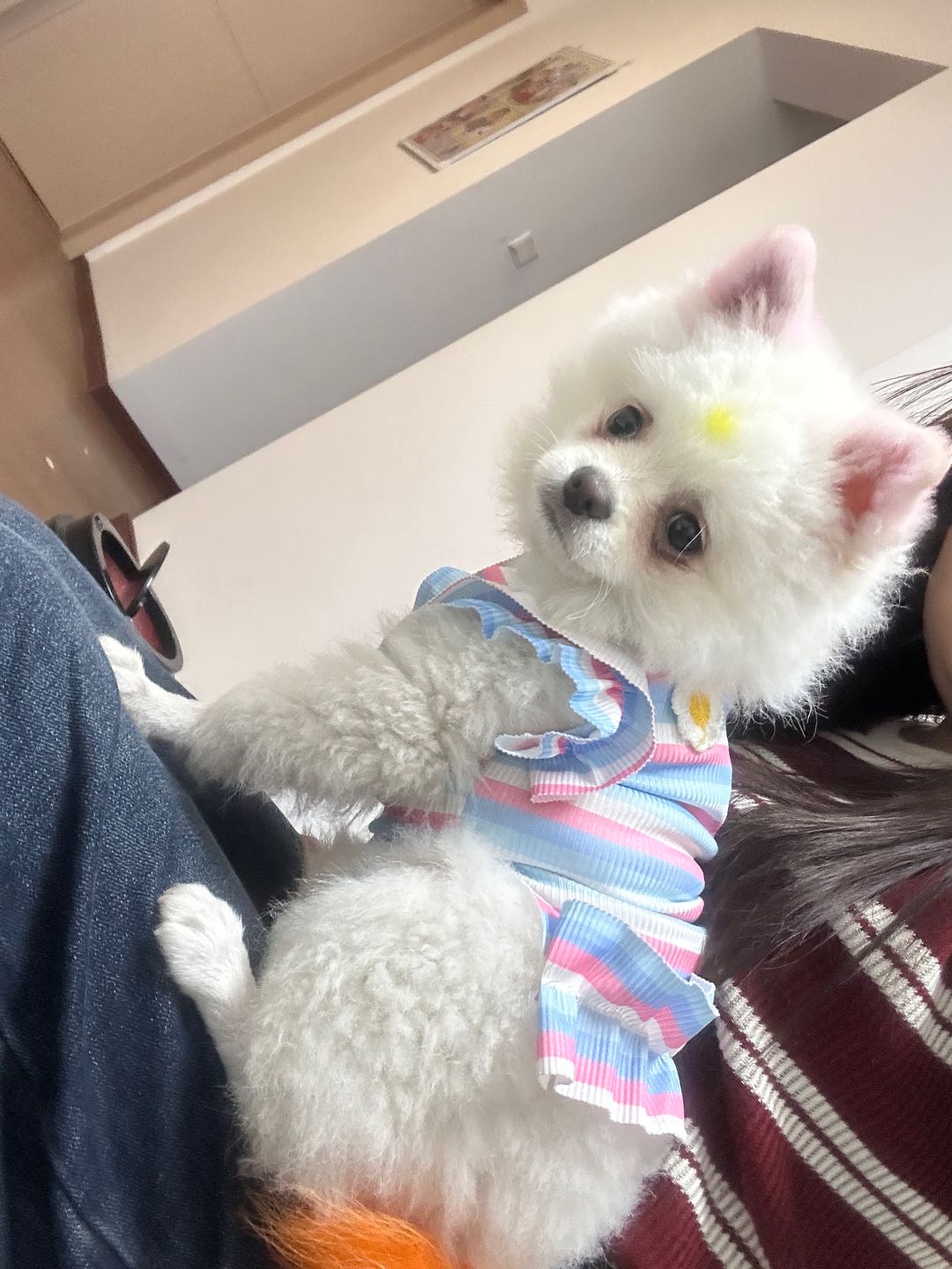 闲置详情