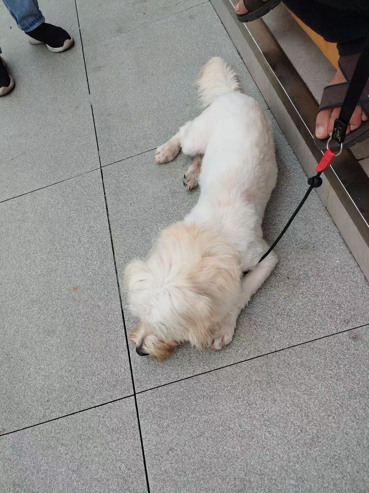 闲置详情