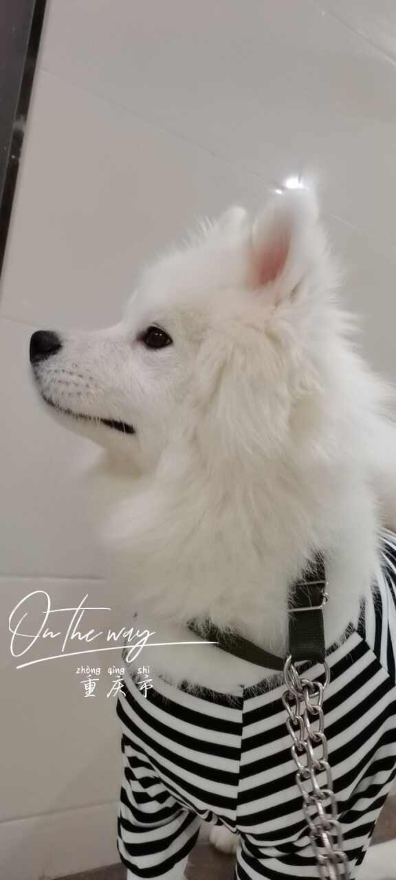 达人动态