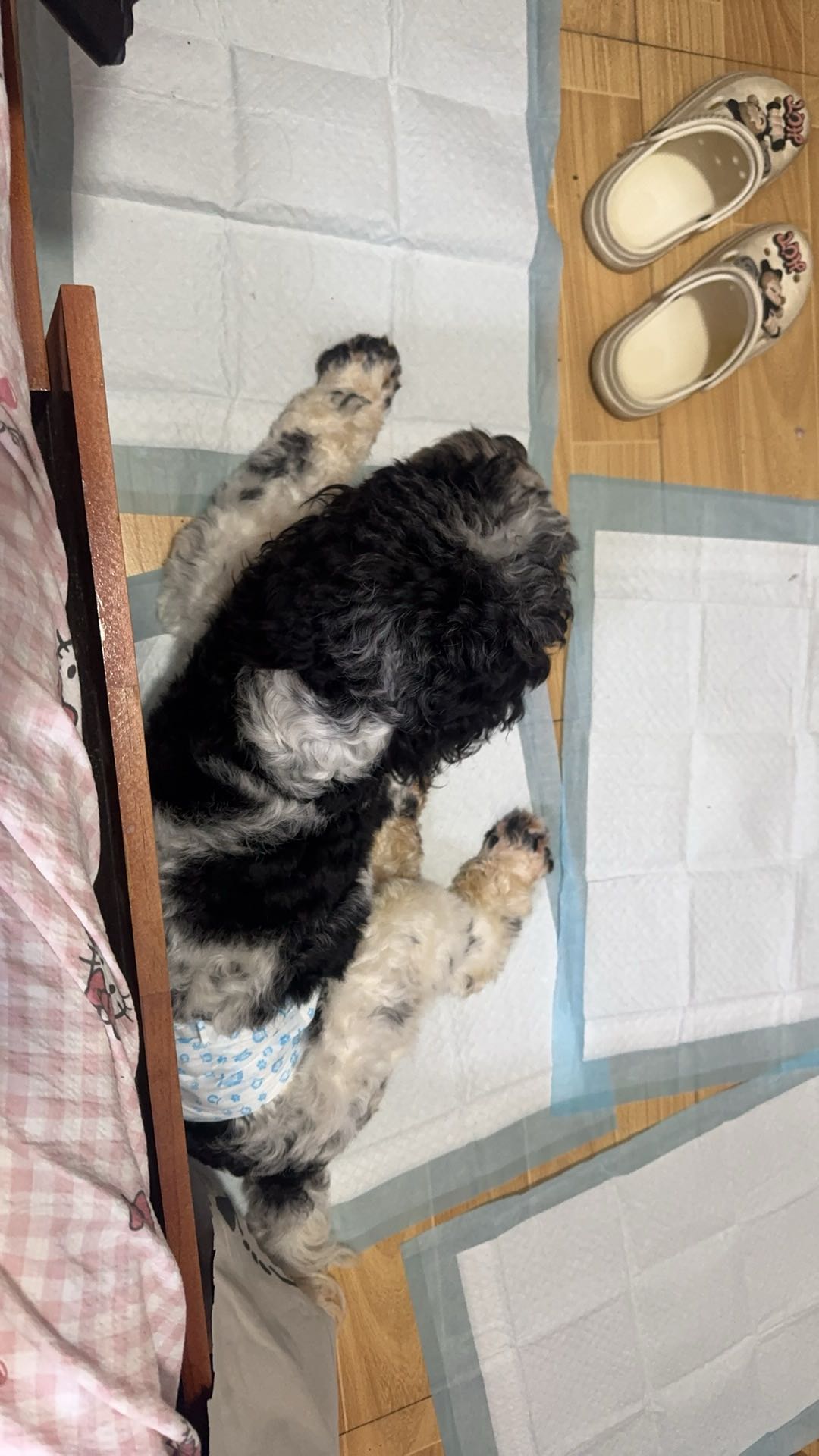 闲置详情
