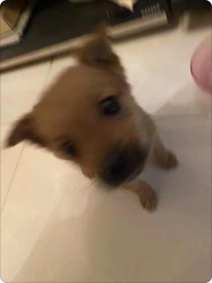 达人动态