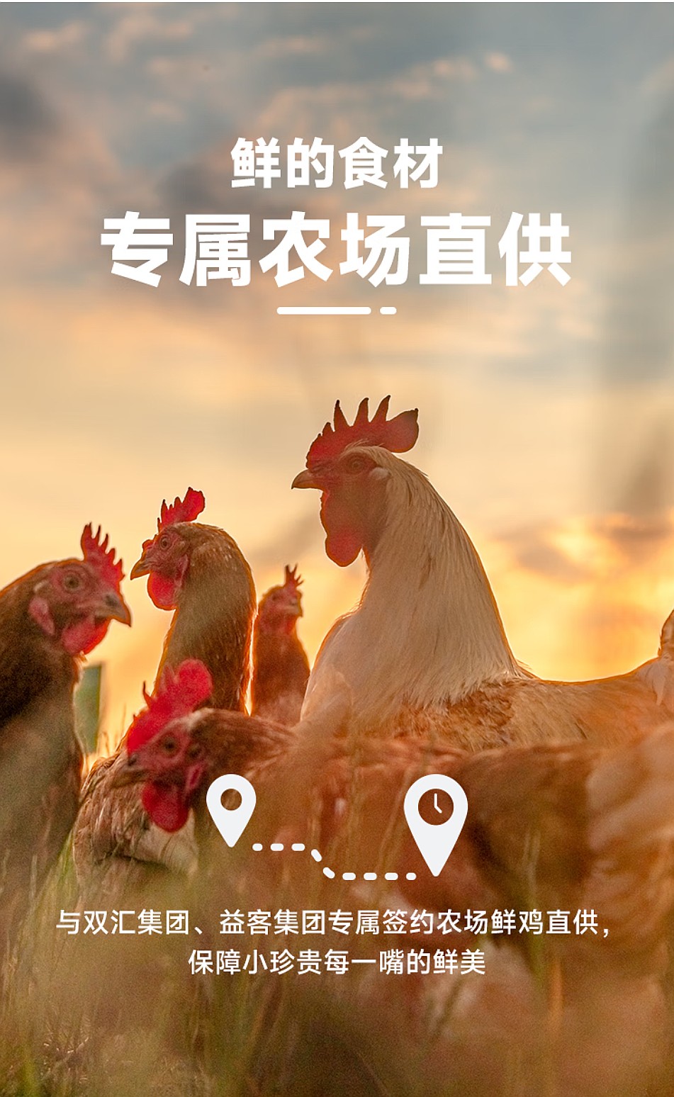 鲜朗低温烘焙狗粮禽肉兔肉幼犬成犬通用主食冻干粮 烘焙犬粮(禽肉)2kg 6