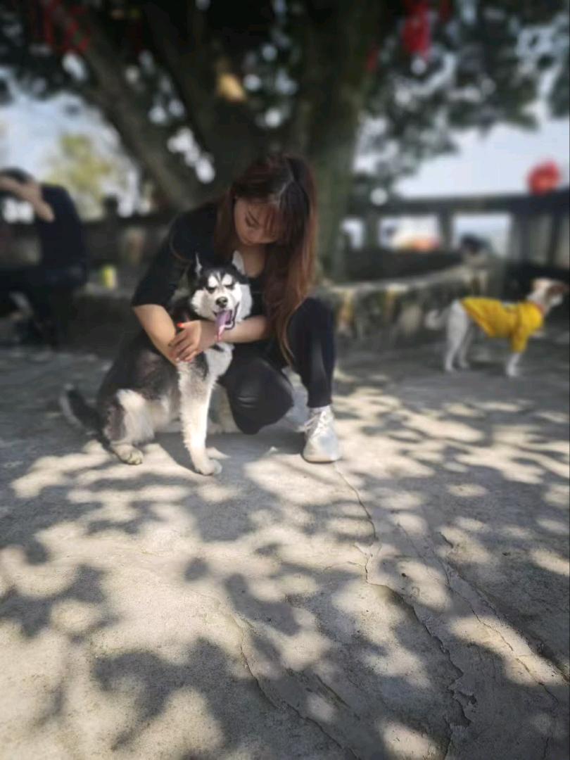 我只想找给对他好的人家，希望有个爱狗人士好好的养他