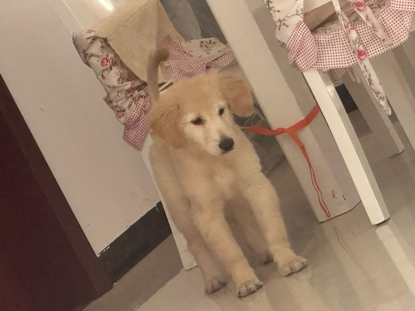 闲置详情