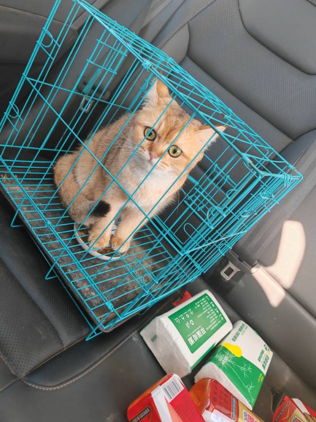 嘟嘟